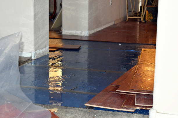Professional Flood Damage Restoration technician working in Rollingstone, MN